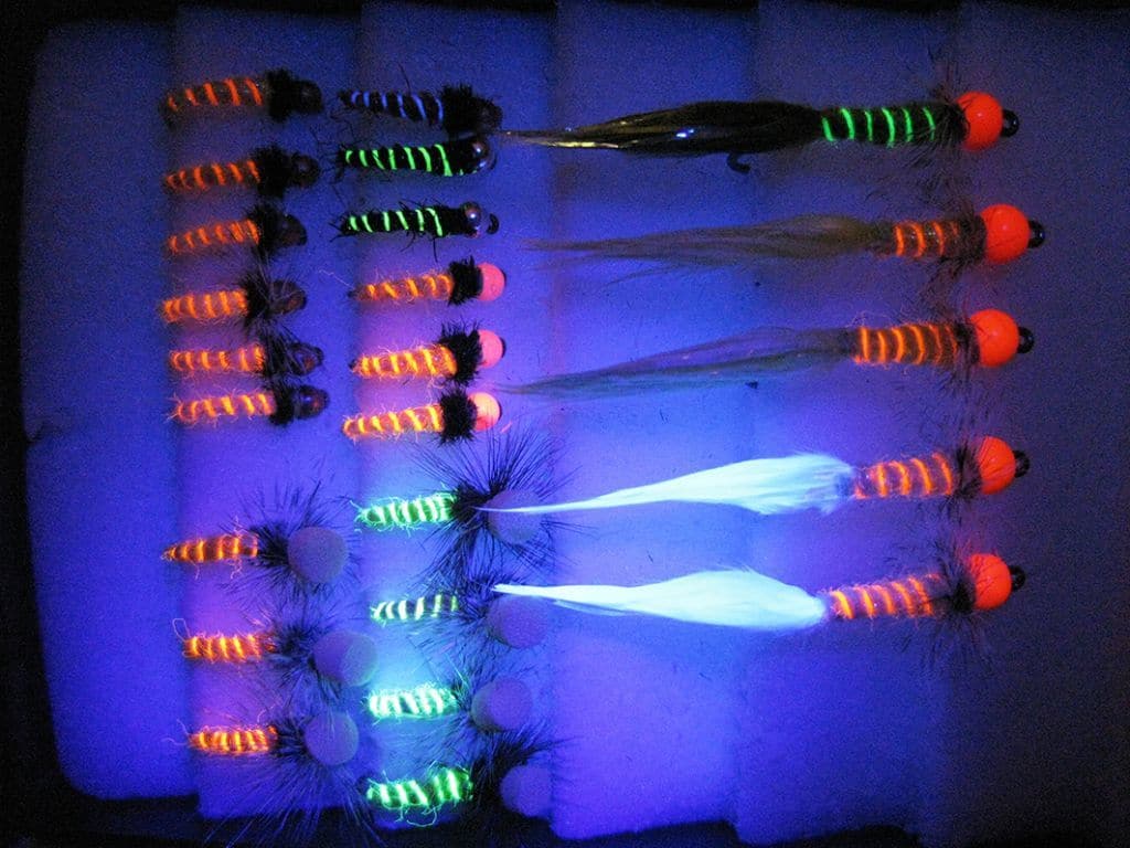 Mooie UV oplichtende nymphen